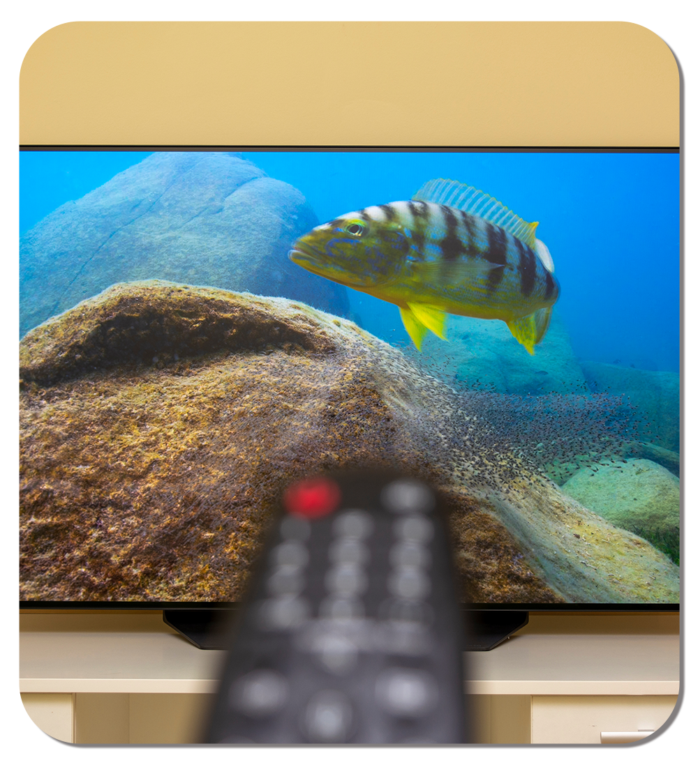 Come funziona un televisore oled - Guida Utilizzo Unieuro