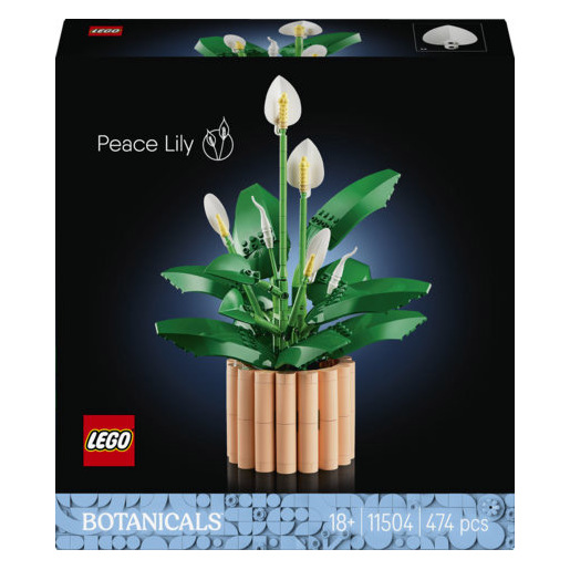 Image of LEGO Botanicals 11504 Spatifillo, Pianta Artificiale con Vaso, Fiori Bianchi Finti e Boccioli, Regalo Fai da Te per Donne