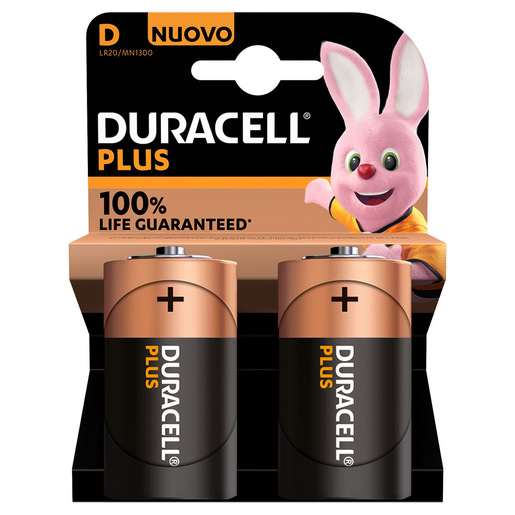 Image of Duracell Plus 100 D B2 x10