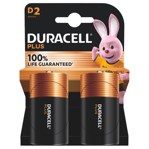 Image of Duracell Plus 100 D B2 x10