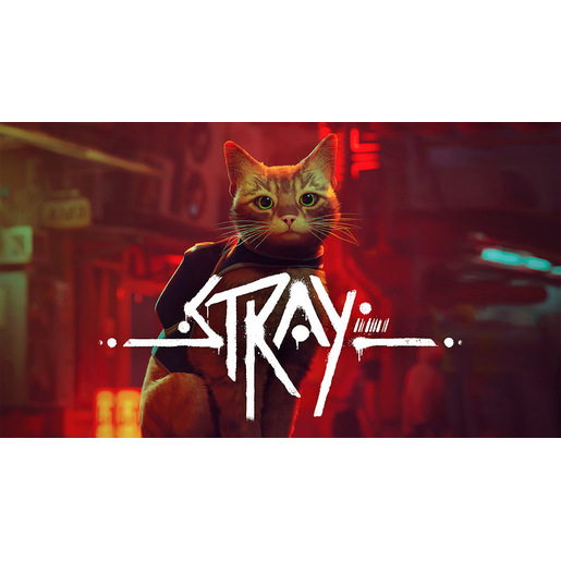 Image of Stray, Nintendo Switch