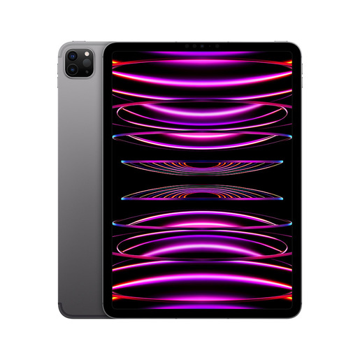 Image of iPad Pro 11" WI-FI + CELLULAR 256GB Grigio Spaziale