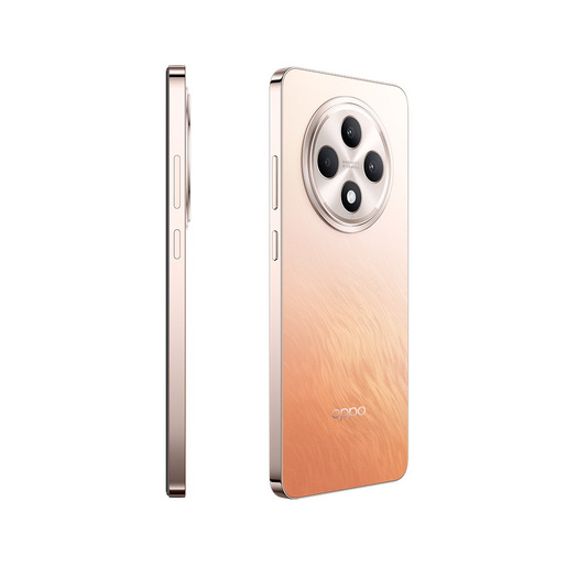 TIM OPPO Reno 12F 5G 16,9 cm (6.67'') Doppia SIM Android 14 USB tipo-C 8 GB 256 GB 5000 mAh Ambra, Arancione