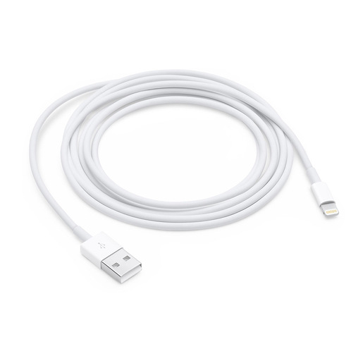 Image of Apple Cavo da lightning a USB 2mt