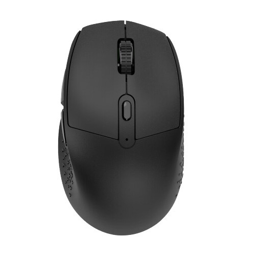Image of IOPLEE 312BTR mouse Mano destra RF senza fili + Bluetooth 1600 DPI