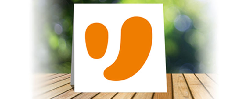 Volantino