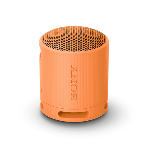Image of Sony SRS-XB100 - Speaker Wireless Bluetooth, portatile, leggero, compa