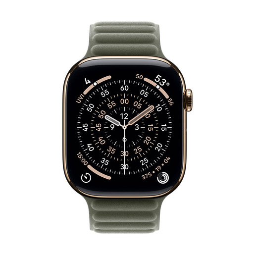 Apple Cinturino a maglie magnetico grigio salvia (46 mm) - S/M