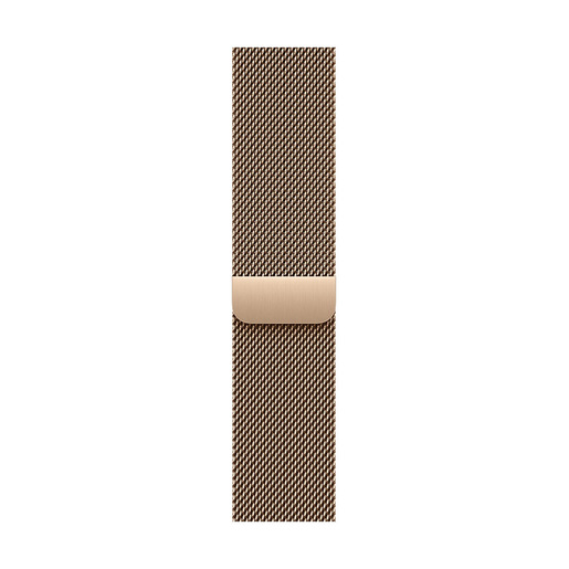 Apple Loop in maglia milanese color oro (40 mm)