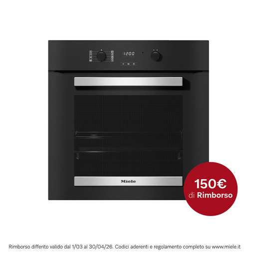 Image of Miele H 2455 B Active 76 L Nero, Acciaio inox