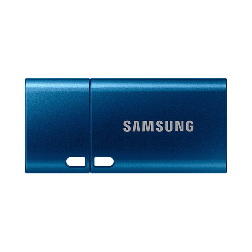 Image of        Samsung MUF-256DA unità flash USB 256 GB USB tipo-C 3.2 Gen 1 (3.1 Gen
