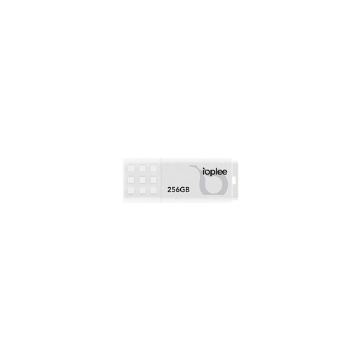 Image of IOPLEE U3A256 unità flash USB 256 GB USB tipo A 3.2 Gen 1 (3.1 Gen 1)