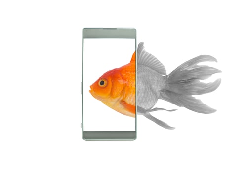 Guida alla Scelta dello Smartphone: il Comparto Grafico | Unieuro
